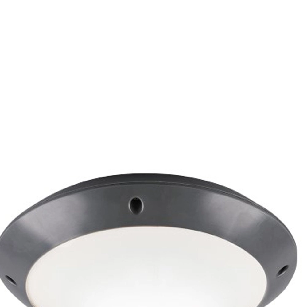 Deckenleuchte Camaro 26cm Anthrazit Trio 4017807405910