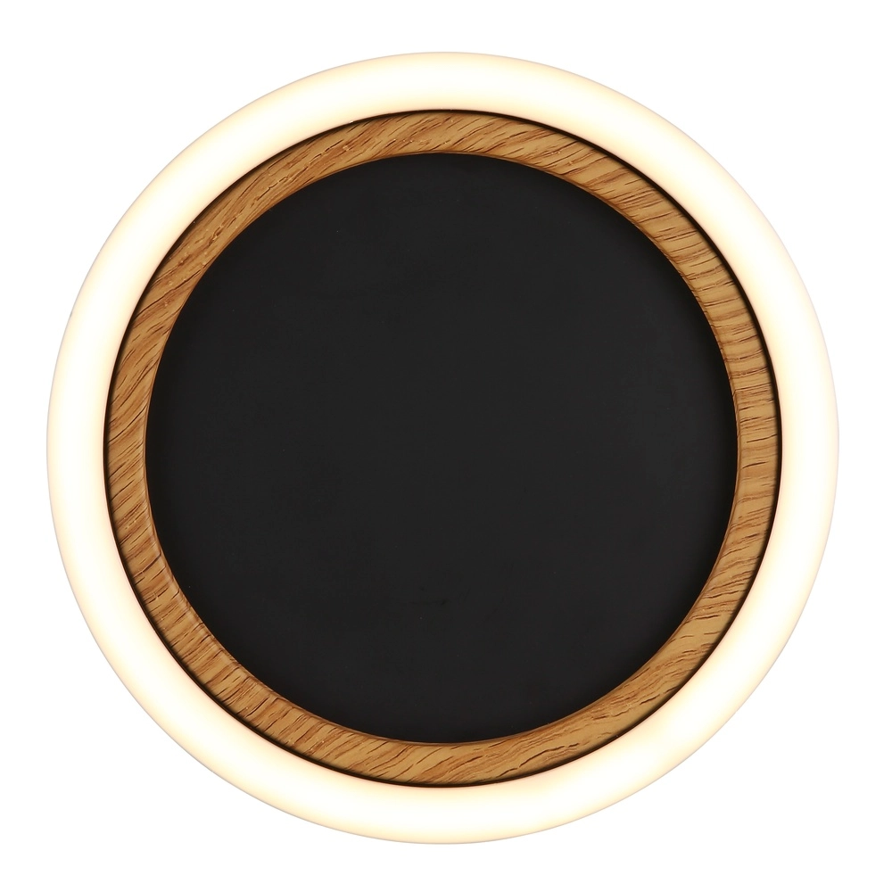Deckenlampe Dakari I Schwarzer Einzelring Globo 9007371531783