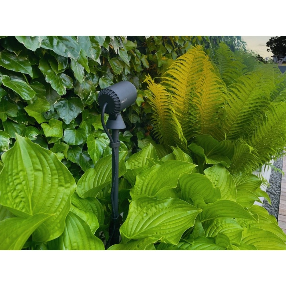 Schwarz Multispike 40 bis 60 cm Lightpro 8719979284459