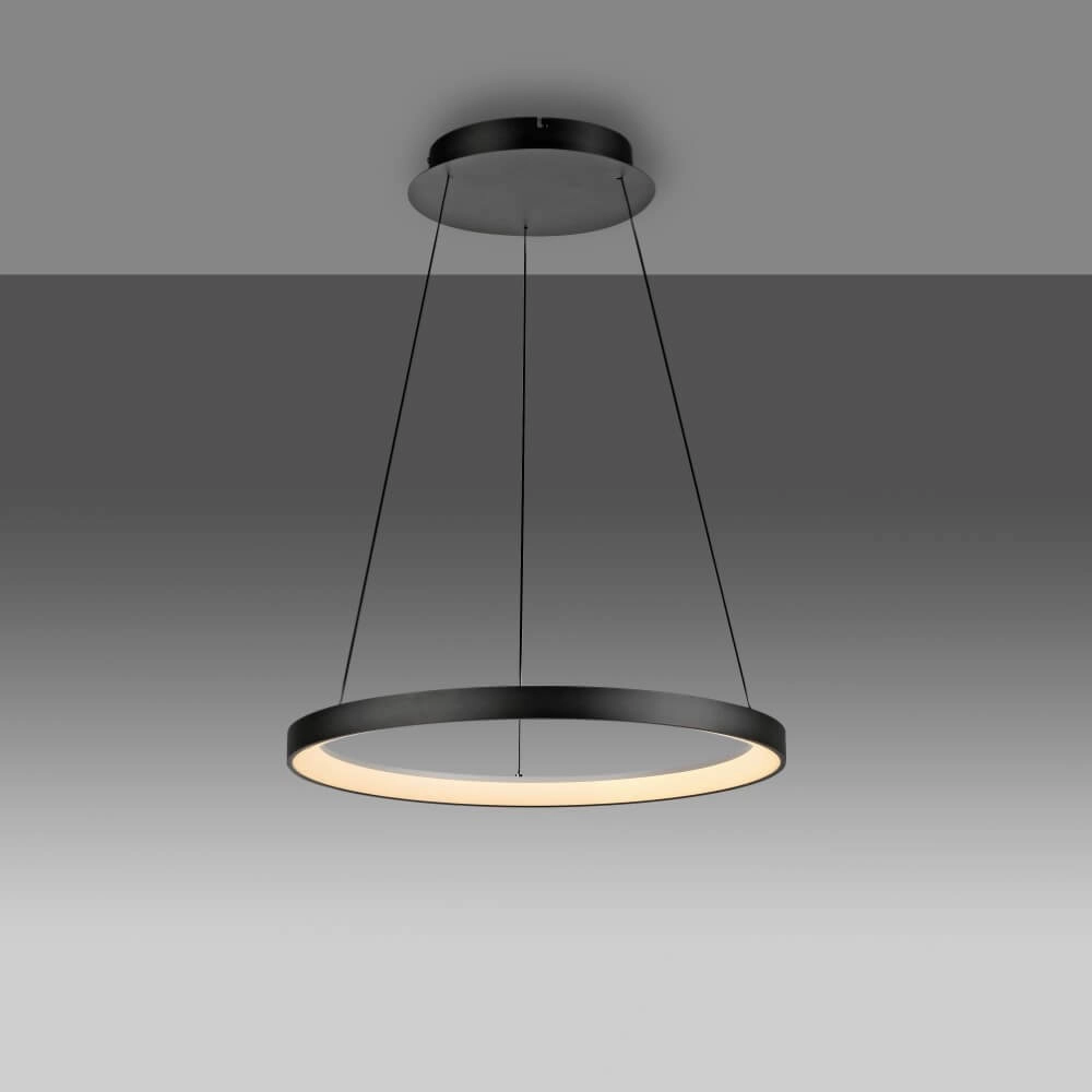 Runde Hängelampe Hoop Schwarz Paul Neuhaus 4012248384695