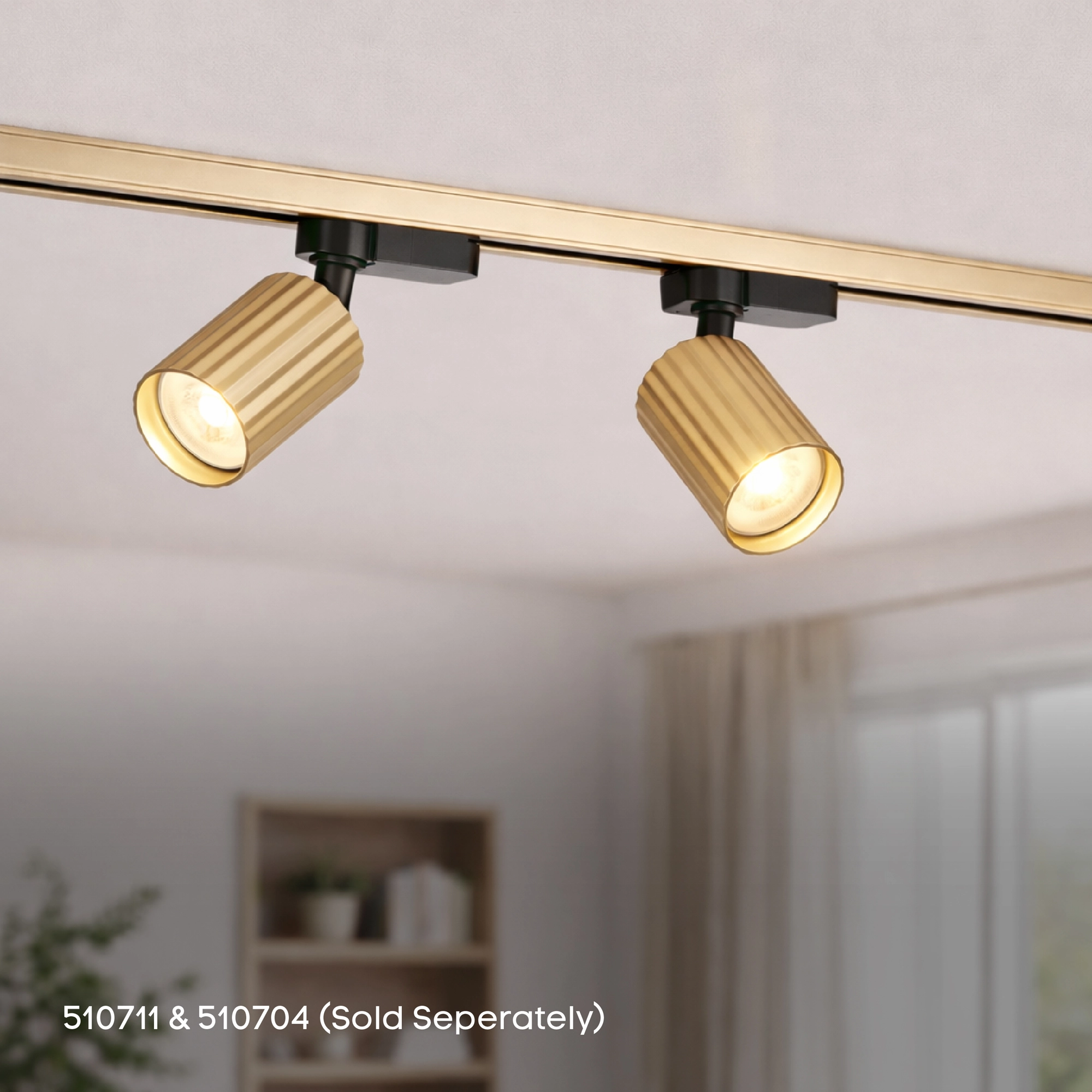 1-Meter-Schiene TraQ Gold Lyora 5053423317090