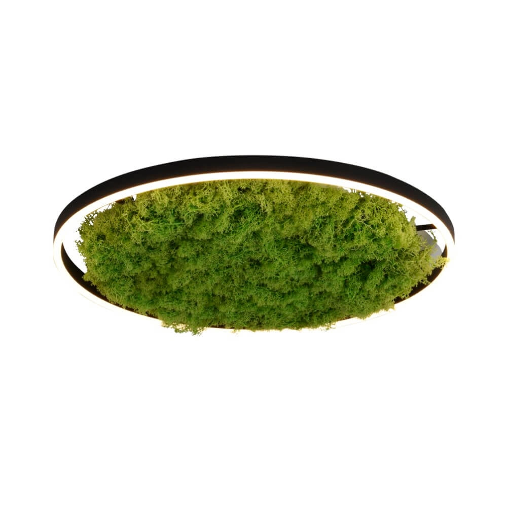 Deckenleuchte Green Ritus mit Moos Ø 58,5cm