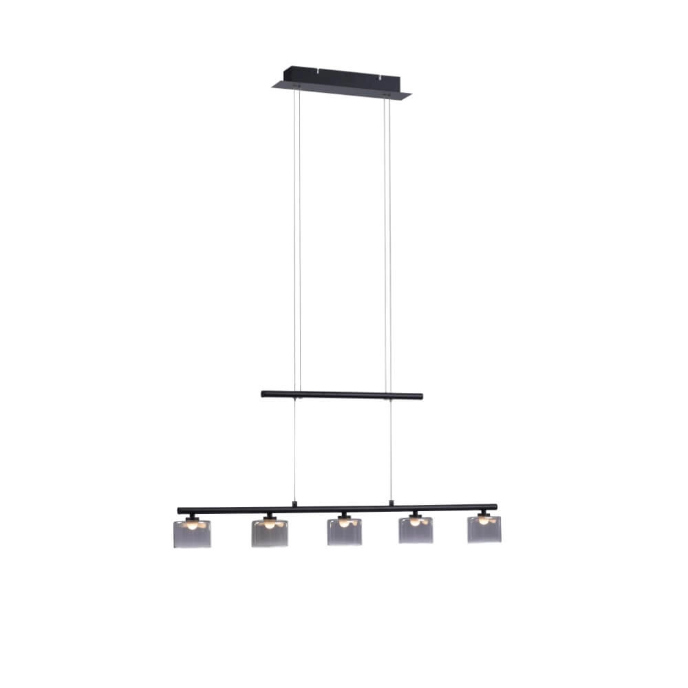 Hängelampe mit 5 Leuchten Hydra Schwarz Paul Neuhaus 4012248364970
