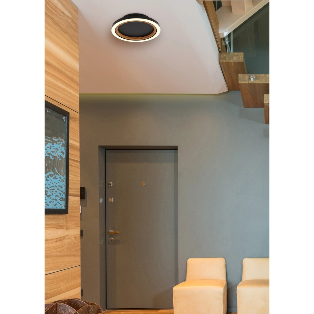 Deckenlampe Dakari I Schwarzer Einzelring Globo 9007371531783