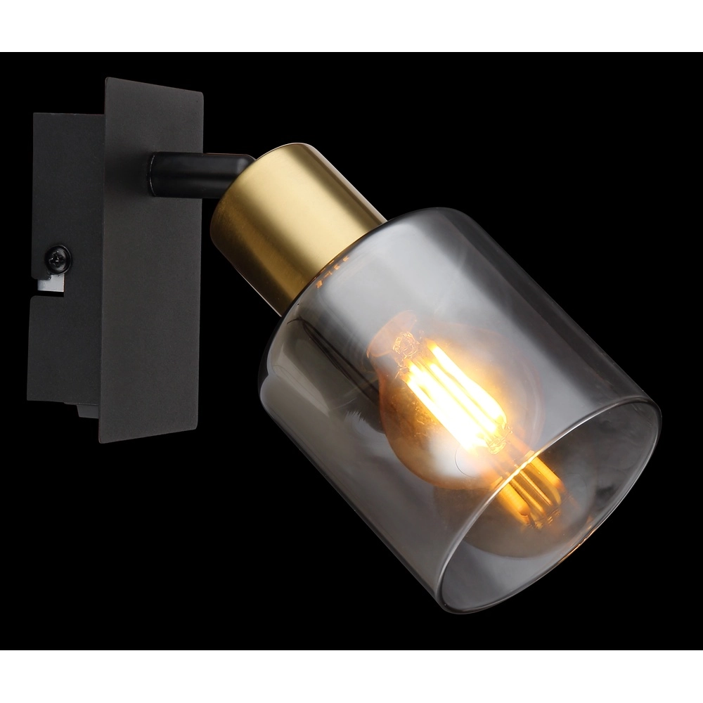 Wandlampe Hollsy Schwarz mit Rauchglas Globo 9007371457847