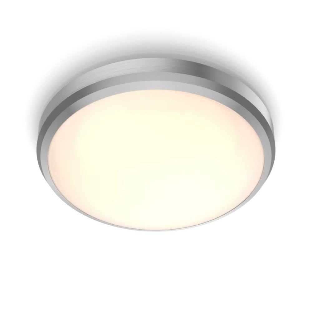 Badezimmer Deckenleuchte Balance Ø 22,5 cm grau Philips 8718699778897
