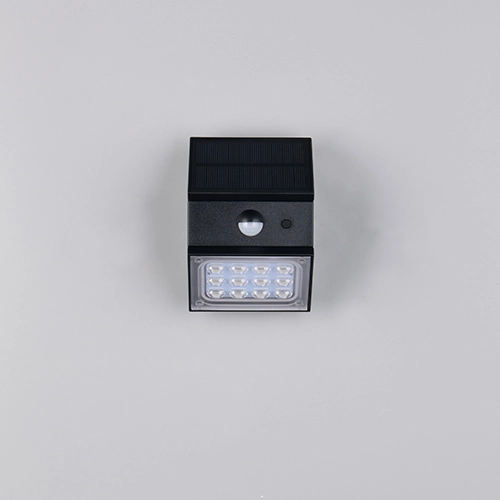 Wandlampe Talca Schwarz Trio 4017807691658