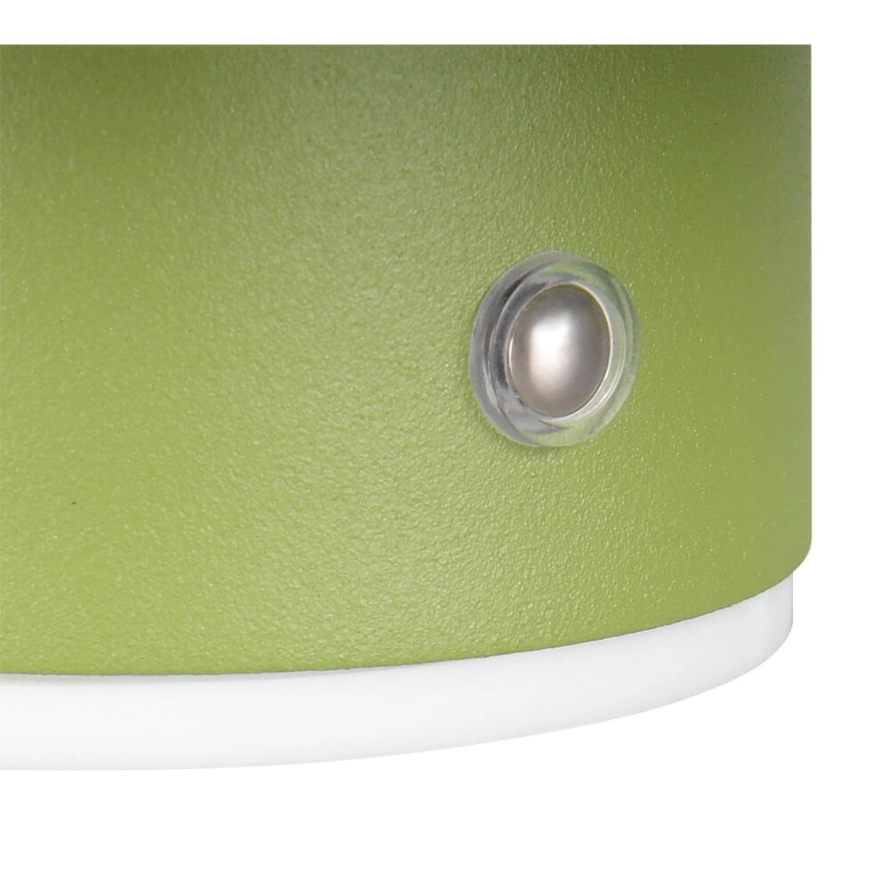 Grüne Wandleuchte Davey Ø 15cm Trio 4017807643824