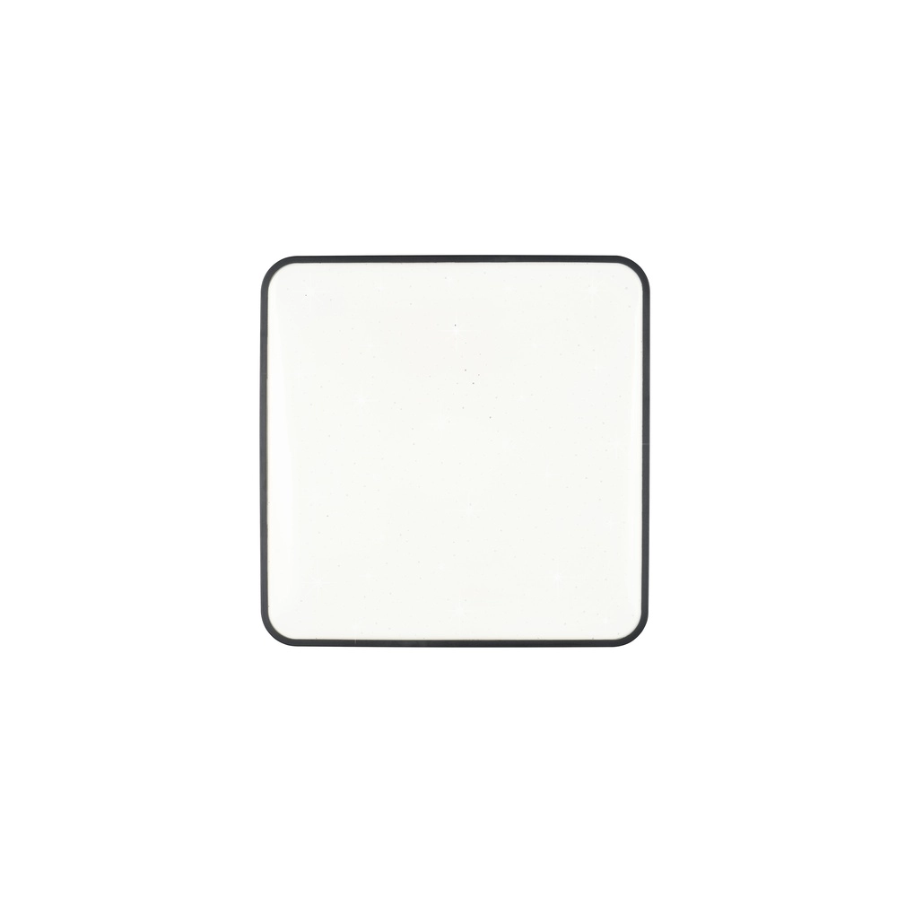 Deckenlampe Relus Square Black 27 x 27 cm Trio 4017807704716