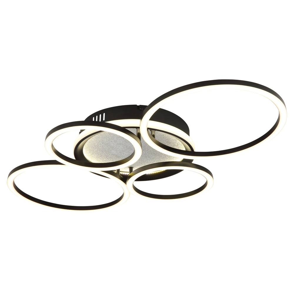 Design-Deckenlampe Alvis Schwarz