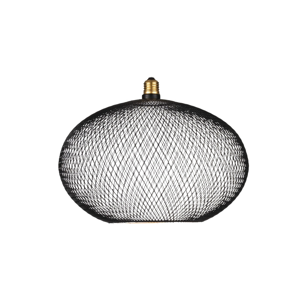 Einzigartige Lichtquelle Floating Käfig - 5W - E27 - 350lm - 2200K - Ø 30cm Segula 4260751131422