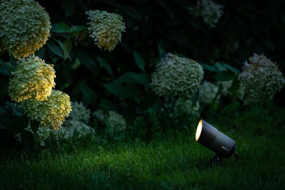 Spike light Castor 4 Lightpro 5907800859898