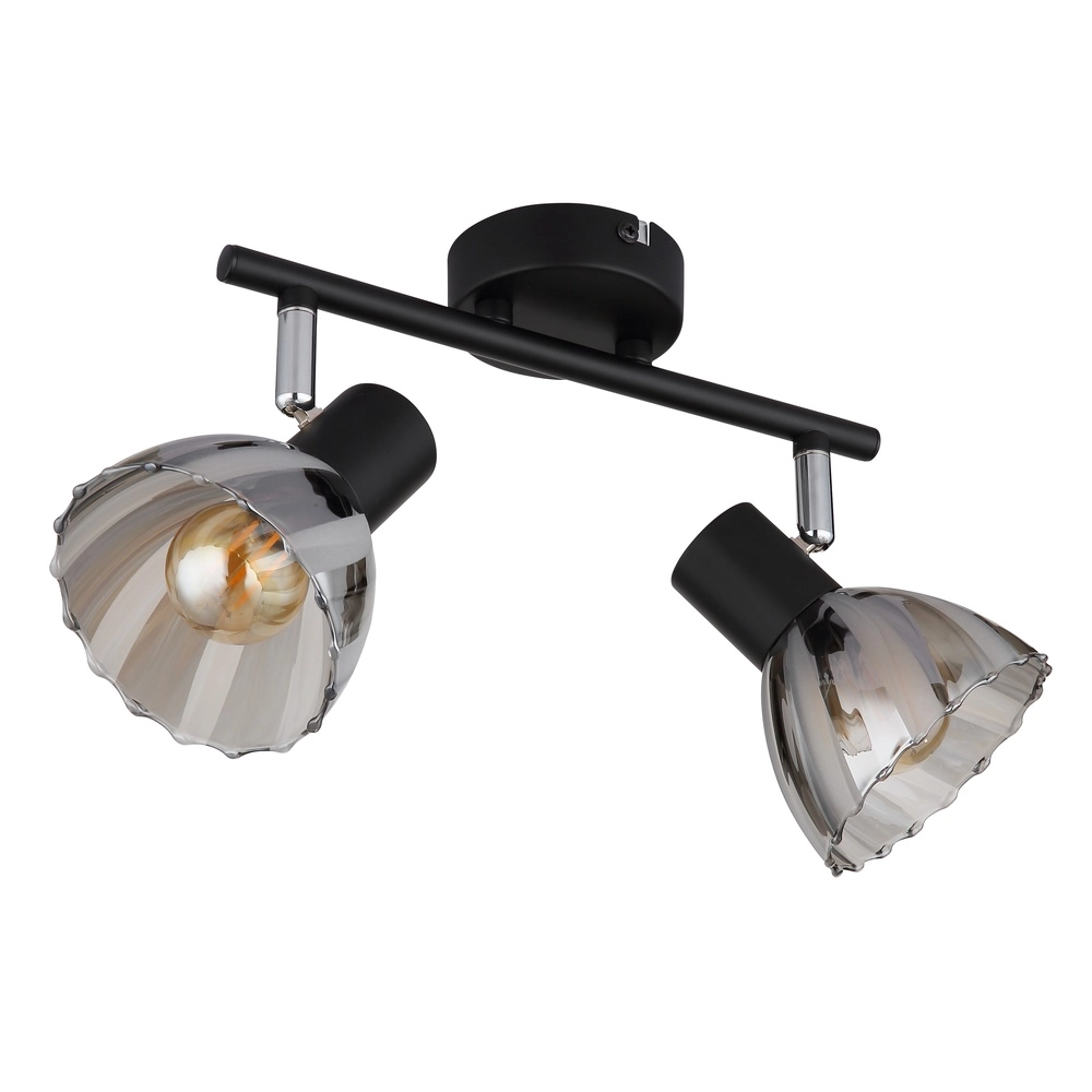 Deckenlampe 2-Leuchten Zachery Schwarz Globo 9007371522507