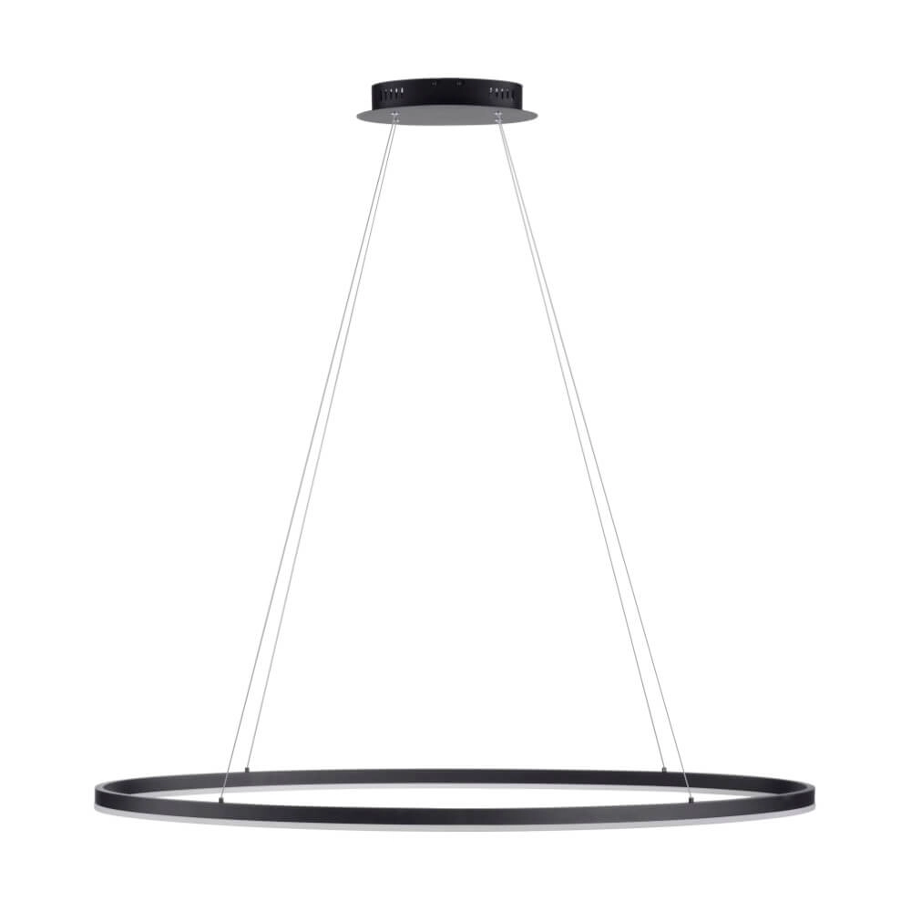 Anthrazitfarbene Hängelampe Titus Ø 118cm Paul Neuhaus 4012248375228