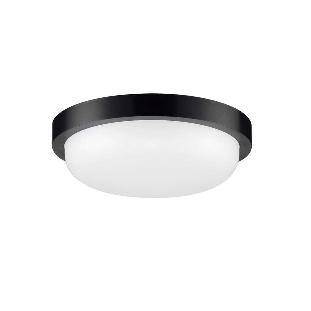 Deckenlampe Reo schwarz Ø 23,5cm Lyora 5212017453310