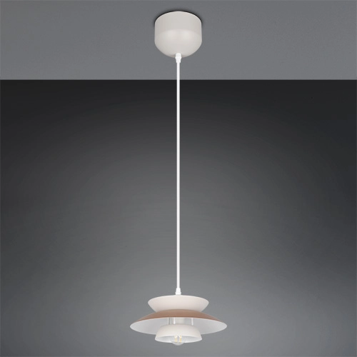 Pendellampendesign Amarila mokkabraun Ø 25 cm Trio 4017807682755