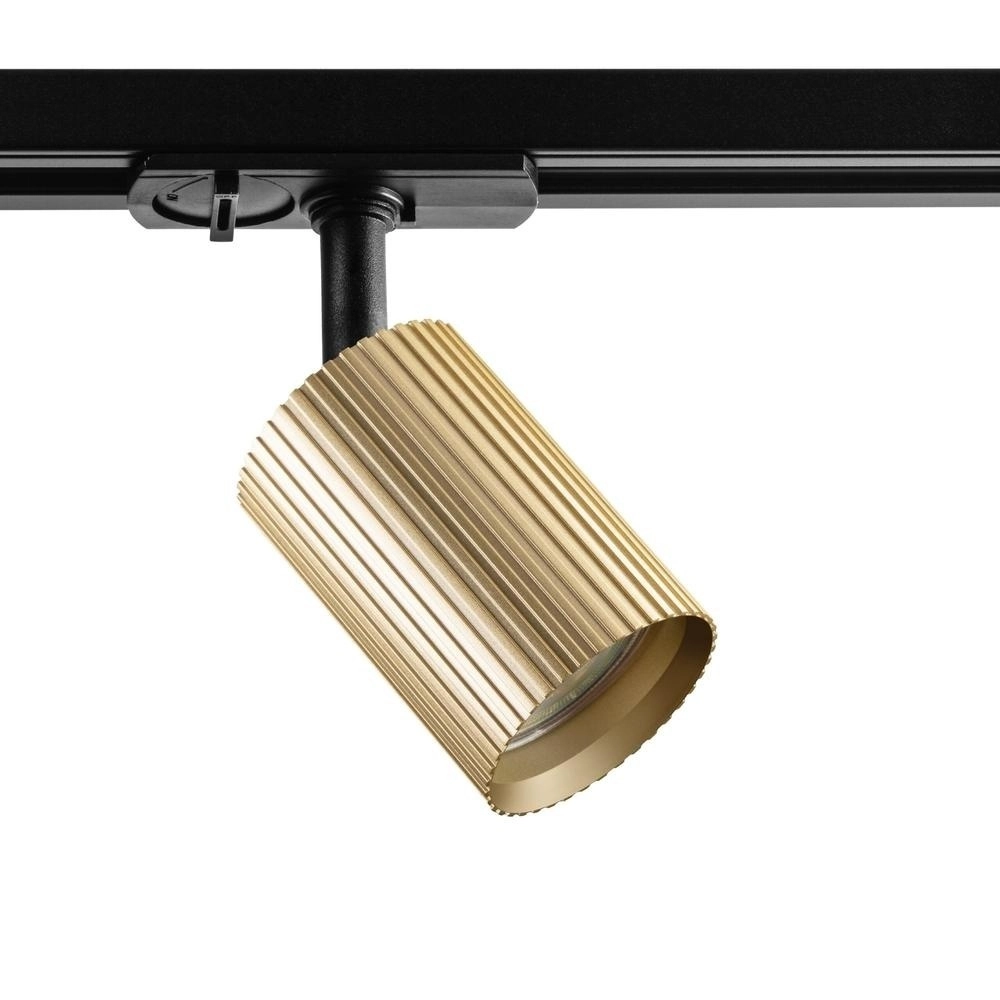 Goldener Fleck Onis Wing 1-phasig
