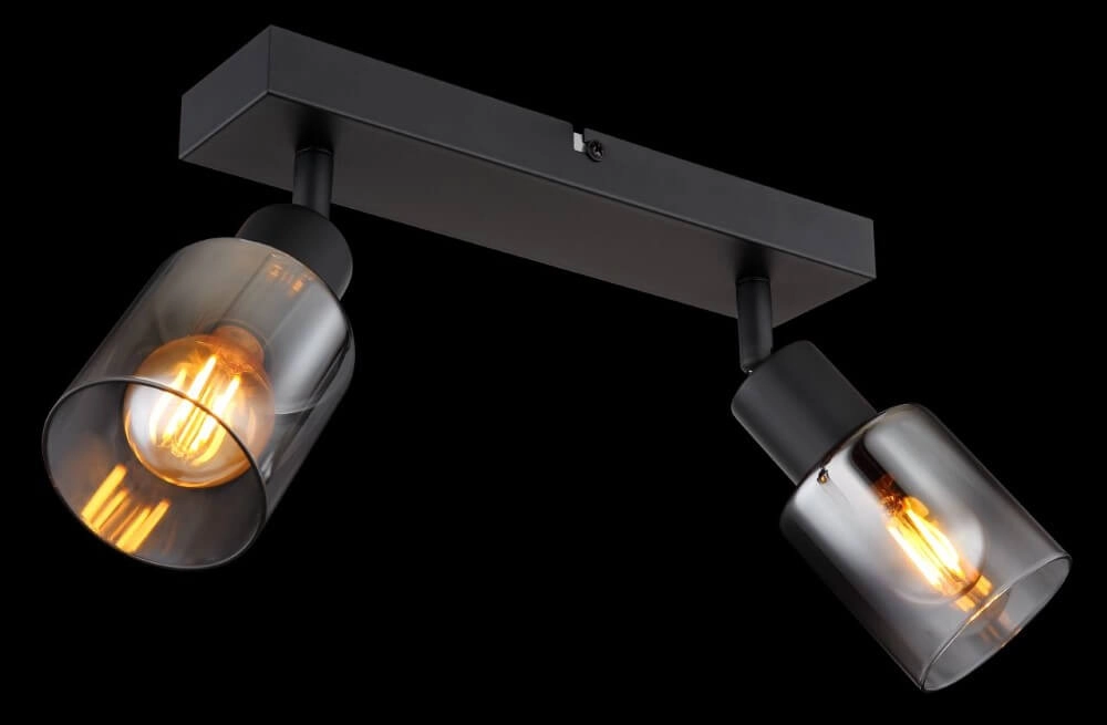 Deckenleuchte Hubertus 2-flammig Globo 9007371449019