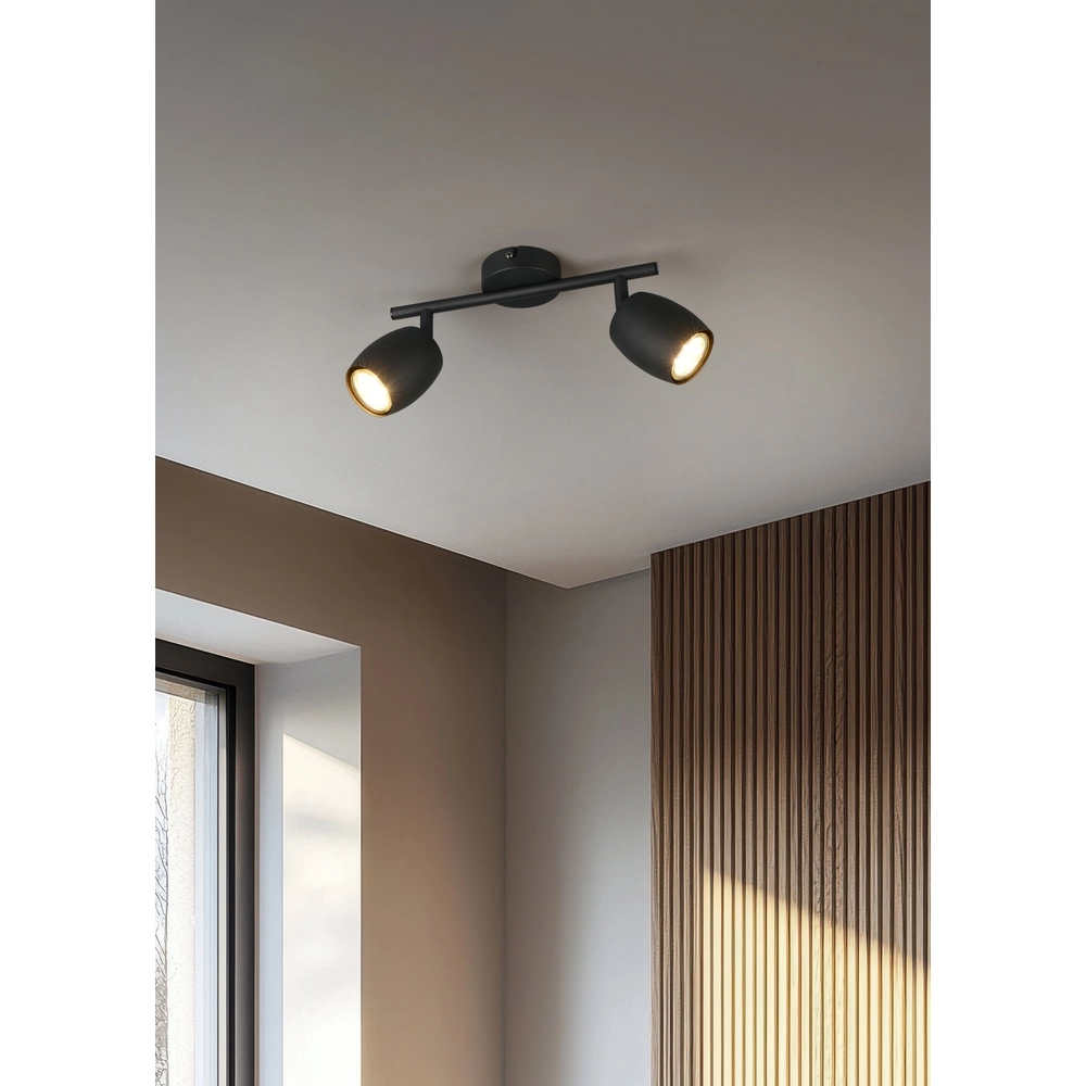 Deckenlampe Nancy 2-flammig schwarz Trio 4017807656602