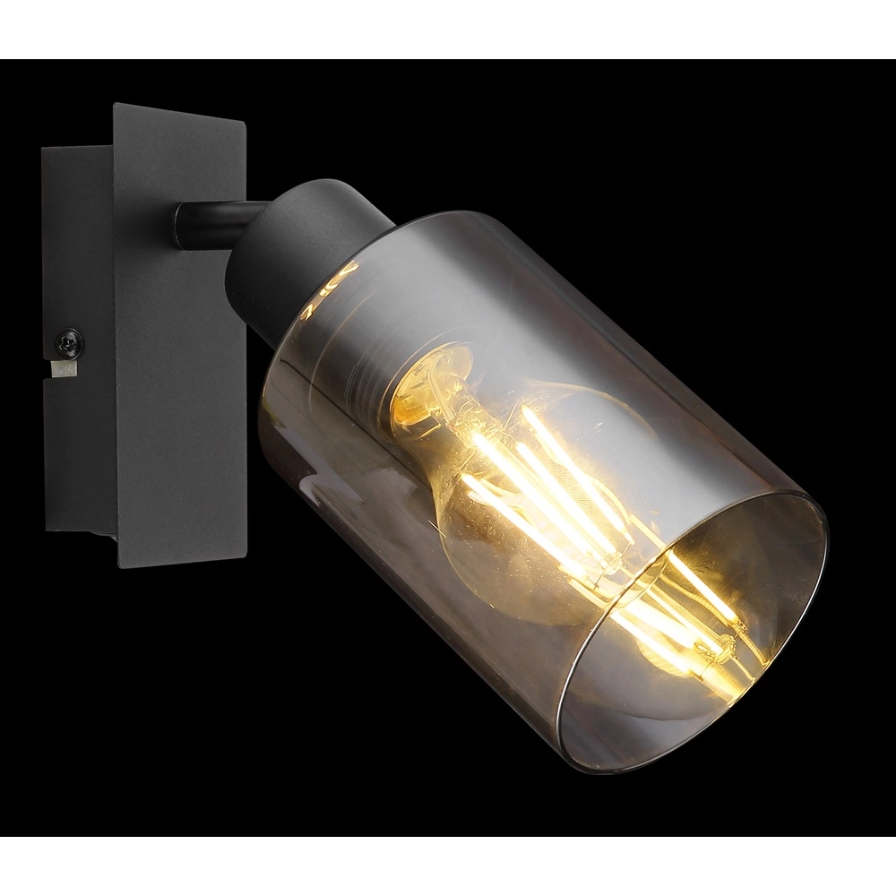 Wandlampe Hadera Schwarz mit Rauchglas Globo 9007371437214