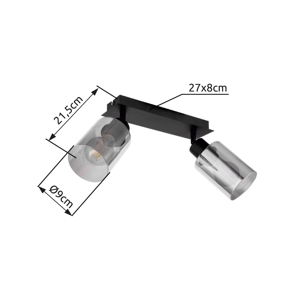 Deckenlampe Hadera 2-Licht Schwarz mit Rauchglas Globo 9007371440214