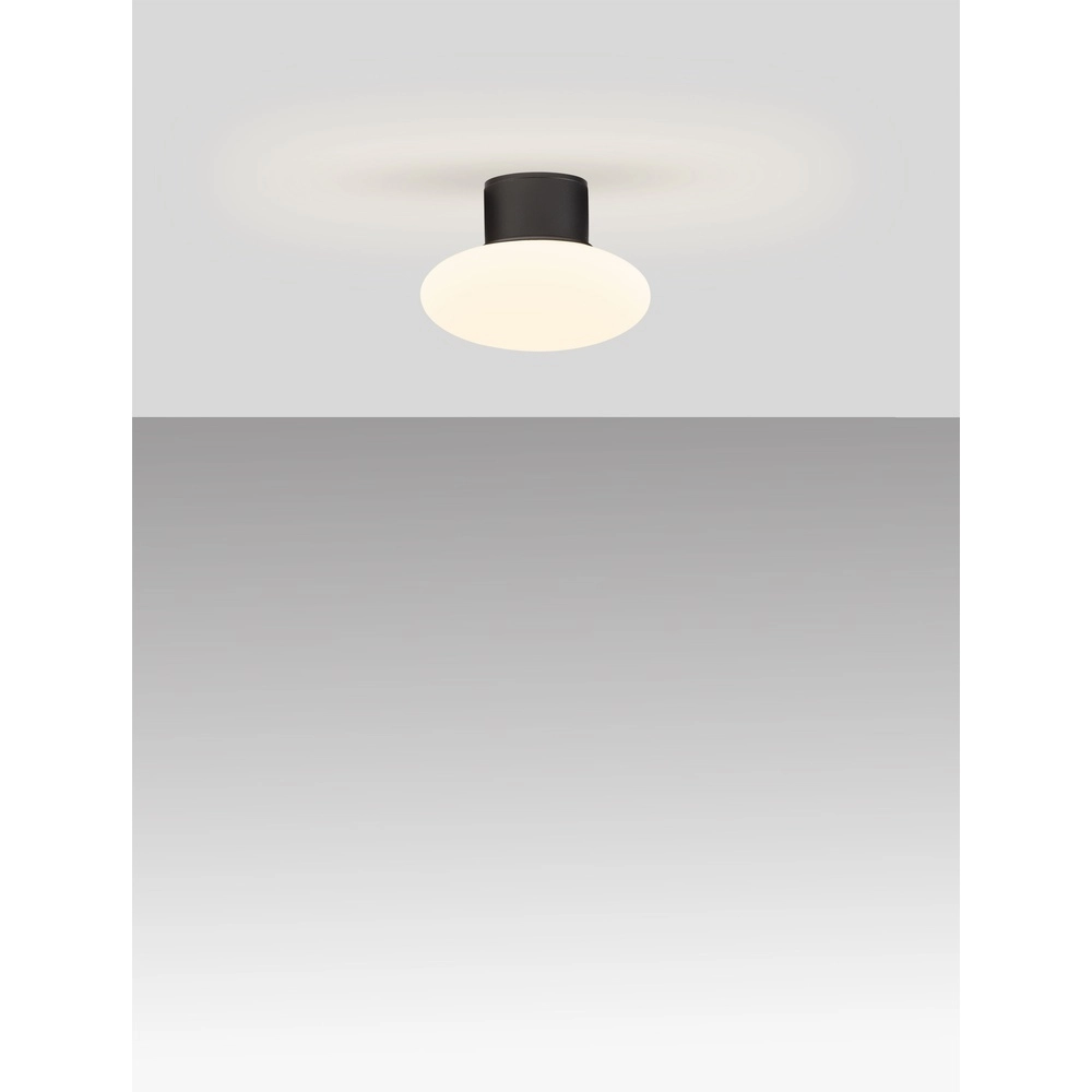 Deckenlampe Ali anthrazit mit ovalem weißem Glas Lyora 5212017476456