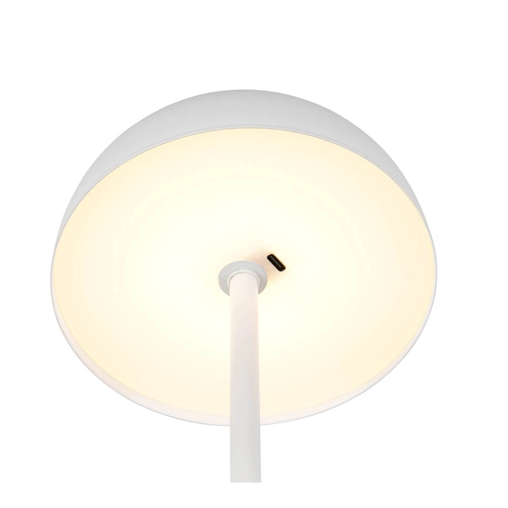 Tischlampe Munoz weiß Ø 13cm Trio 4017807640847