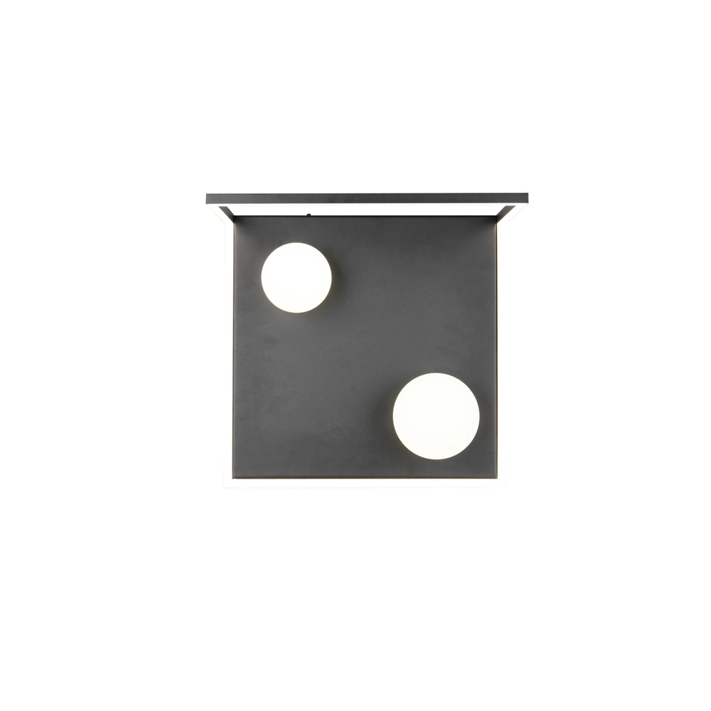 Design-Deckenlampe Arola Schwarz Trio 4017807683578