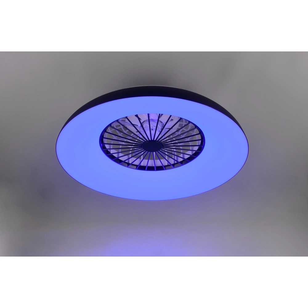 Designventilator Svaerholt schwarze Ø 60cm mit RGB-Funktion Trio 4017807688795