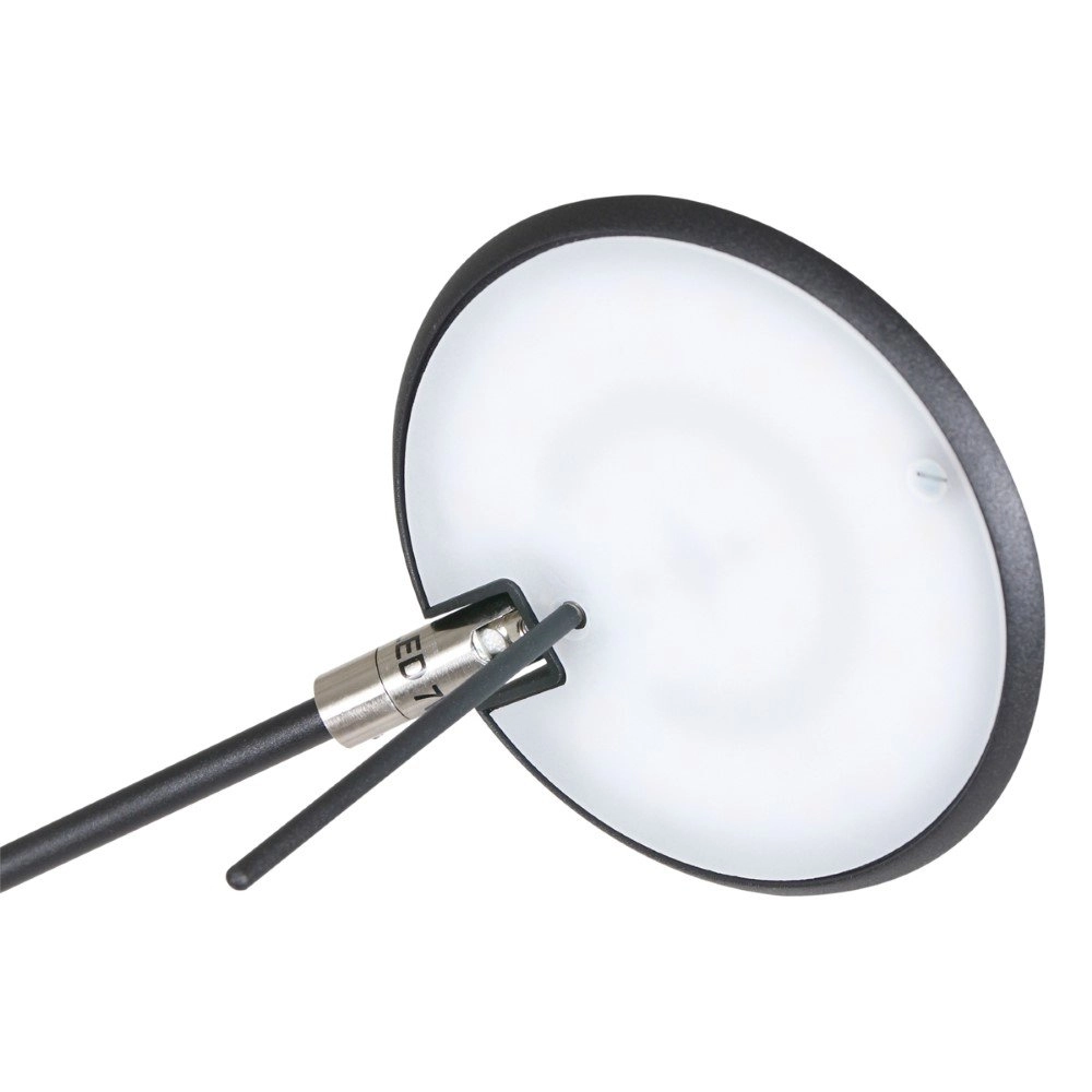 Leselampe Zodiac LED für an der Wand Steinhauer 8712746127331
