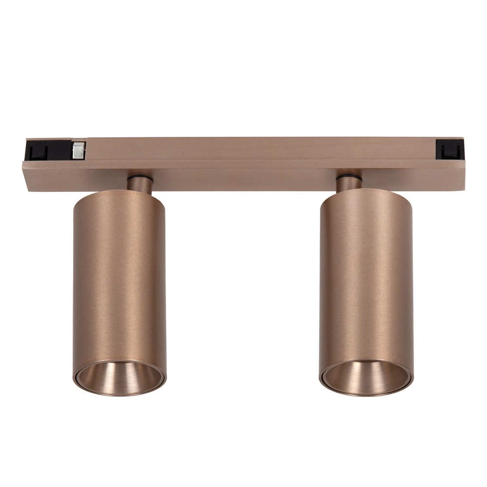 Einphasen-Gleis-Spot Linial Bixx Champagner Premium by Lucide 5411212552198