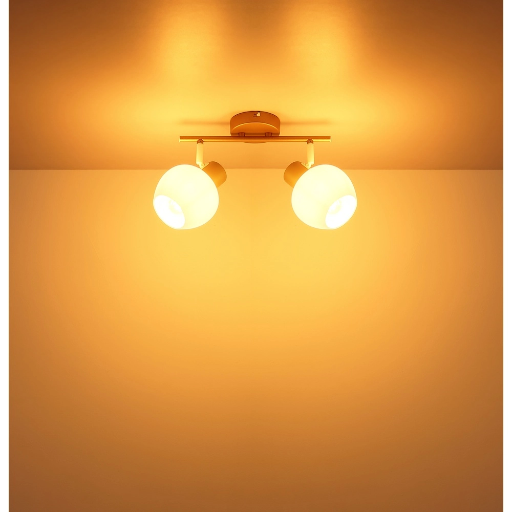 Deckenlampe Eileen 2-helles Kaffeebraun Globo 9007371589562