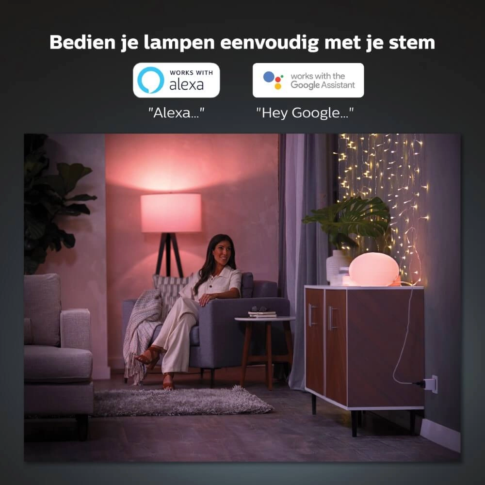 Hue Smart Socket (NL) Philips 8719514342309