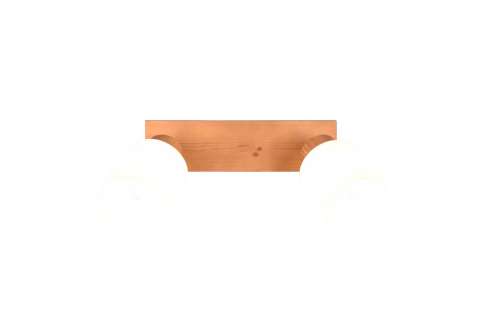 Ländlicher Deckenstrahler Assam 2-flammig Trio 4017807539790