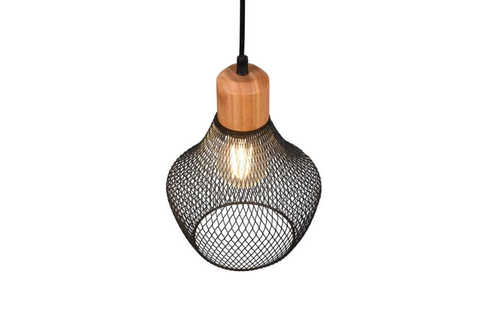 Schwarze Drahtlampe Valeria Ø 18cm Trio 4017807541182