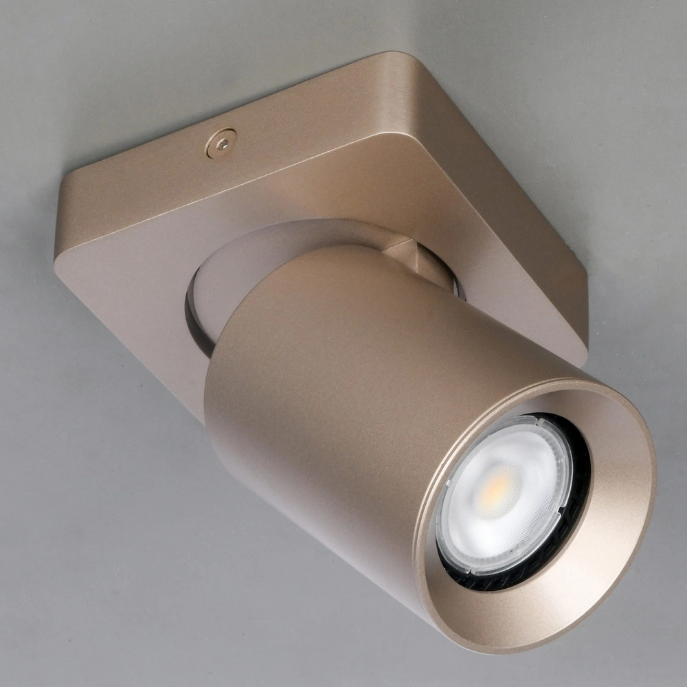 Aufputz-Spot Megano Champagner Artdelight 8720701103467