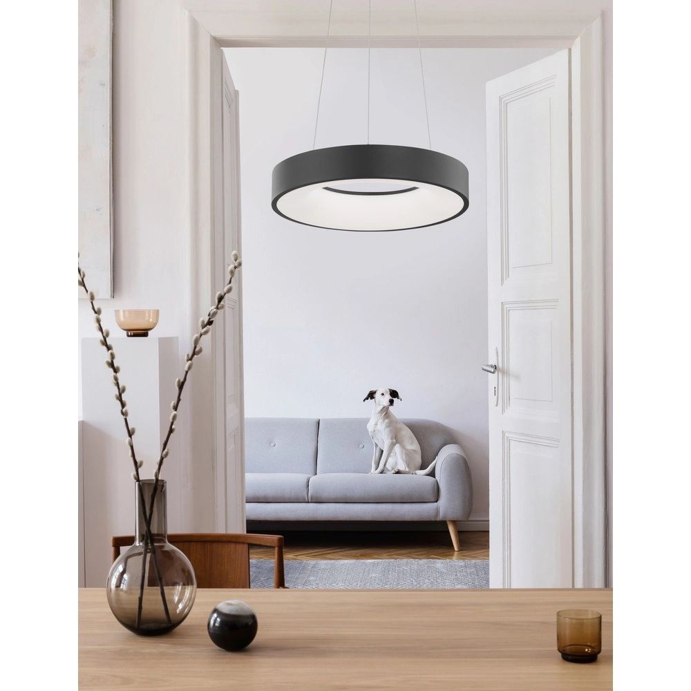Pendelleuchte Rando Thin schwarz Ø 38cm