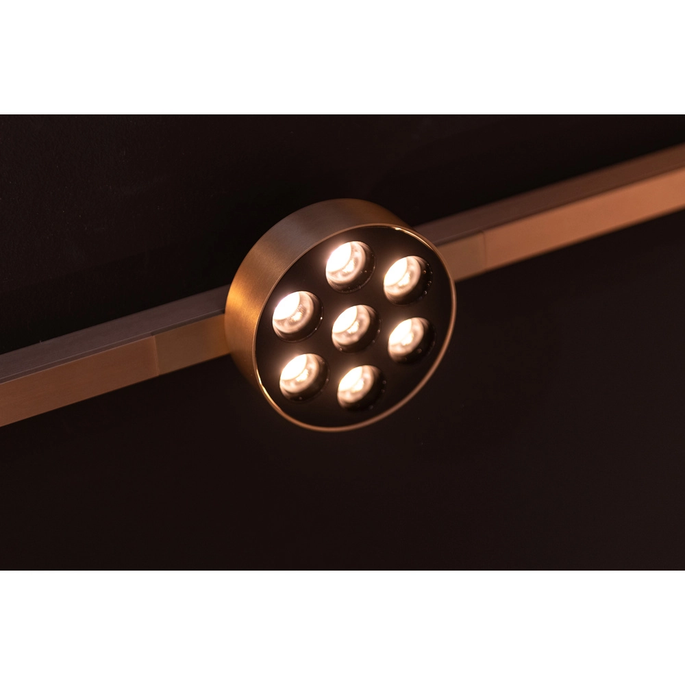 Einphasen-Gleis-Spot Linial Xavi Champagner Premium by Lucide 5411212552556