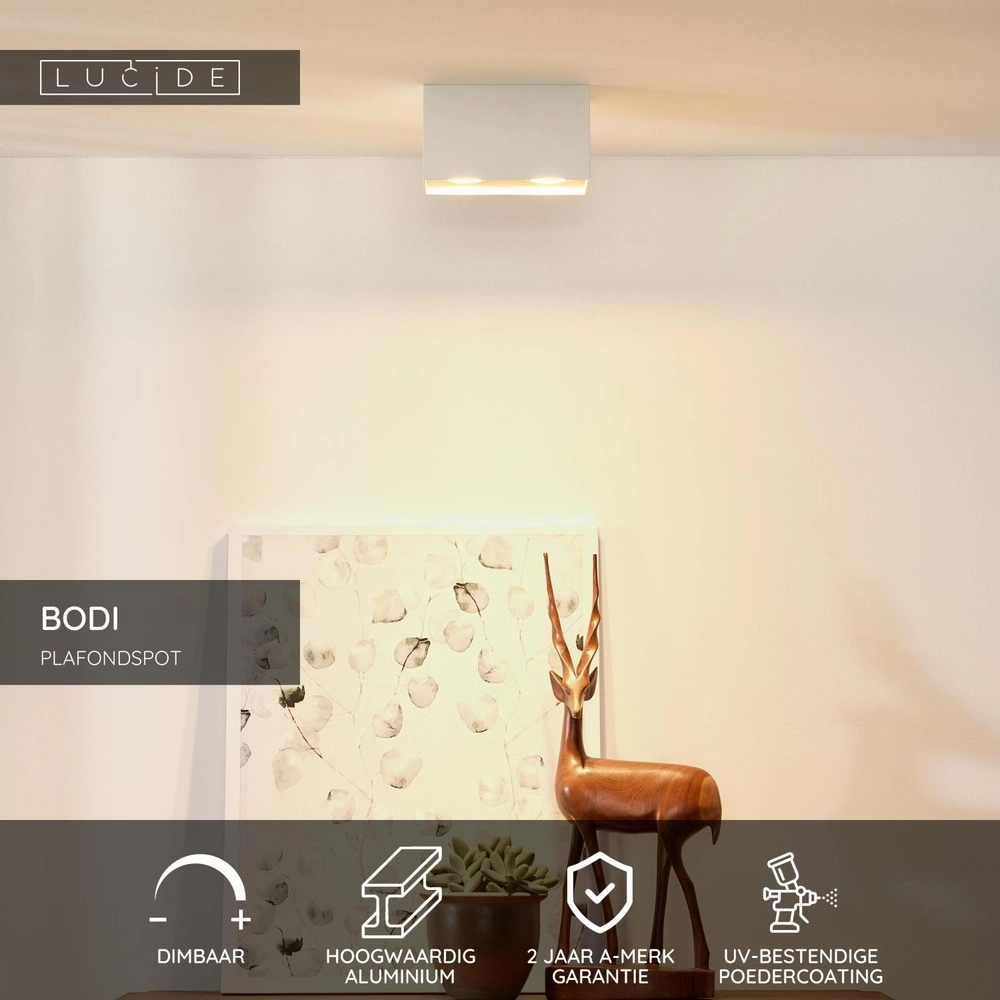Deckenscheinwerfer Bodi 2-Licht weiß Lucide 5411212091598
