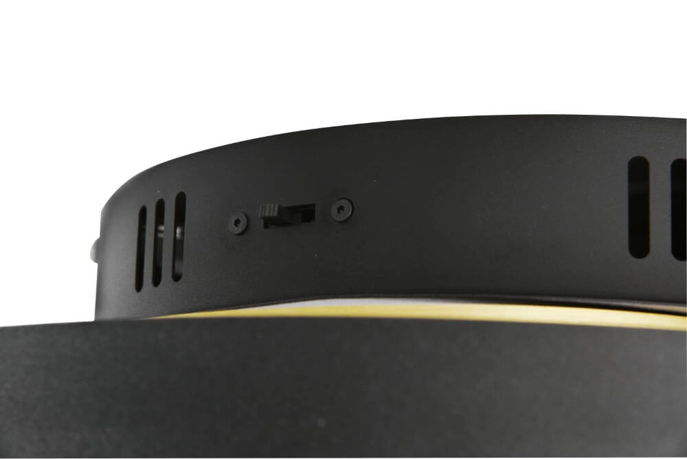 Dimmbare Deckenleuchte Caya Gold mit Schwarz Trio 4017807541953