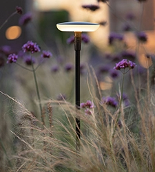 In-lite-Leuchten