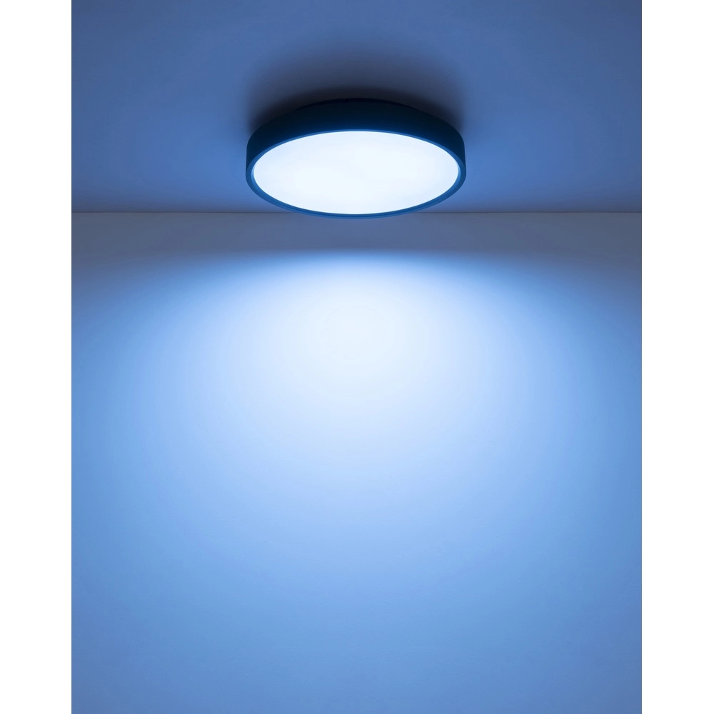 Deckenlicht Jess Schwarz Globo 9007371592470