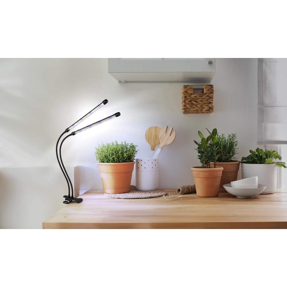 Klemmleuchte Treena Grow Light für Pflanzen Globo 9007371447138