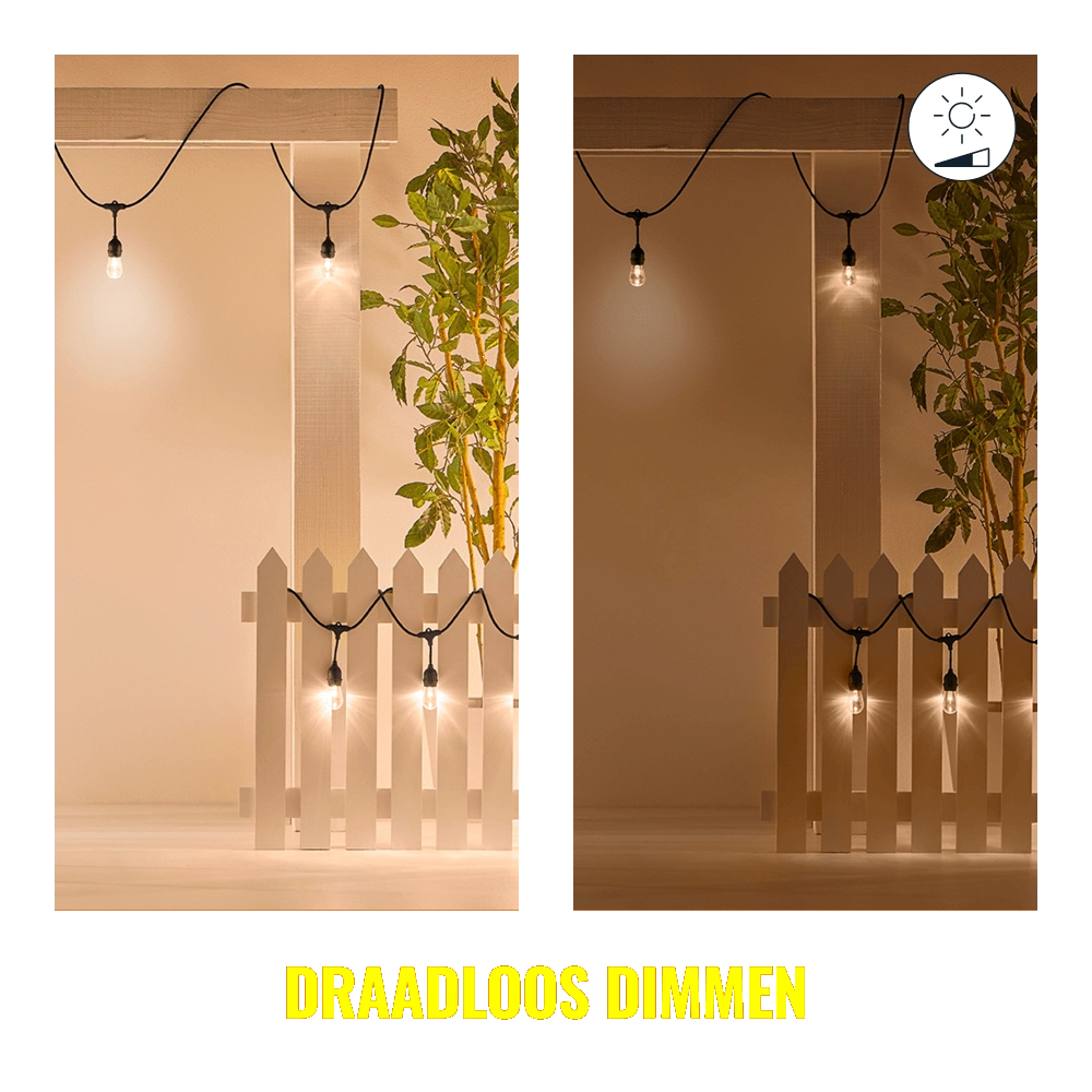String Lights mit 12 smarten Stimmungslichtern WiZ 8719514554450