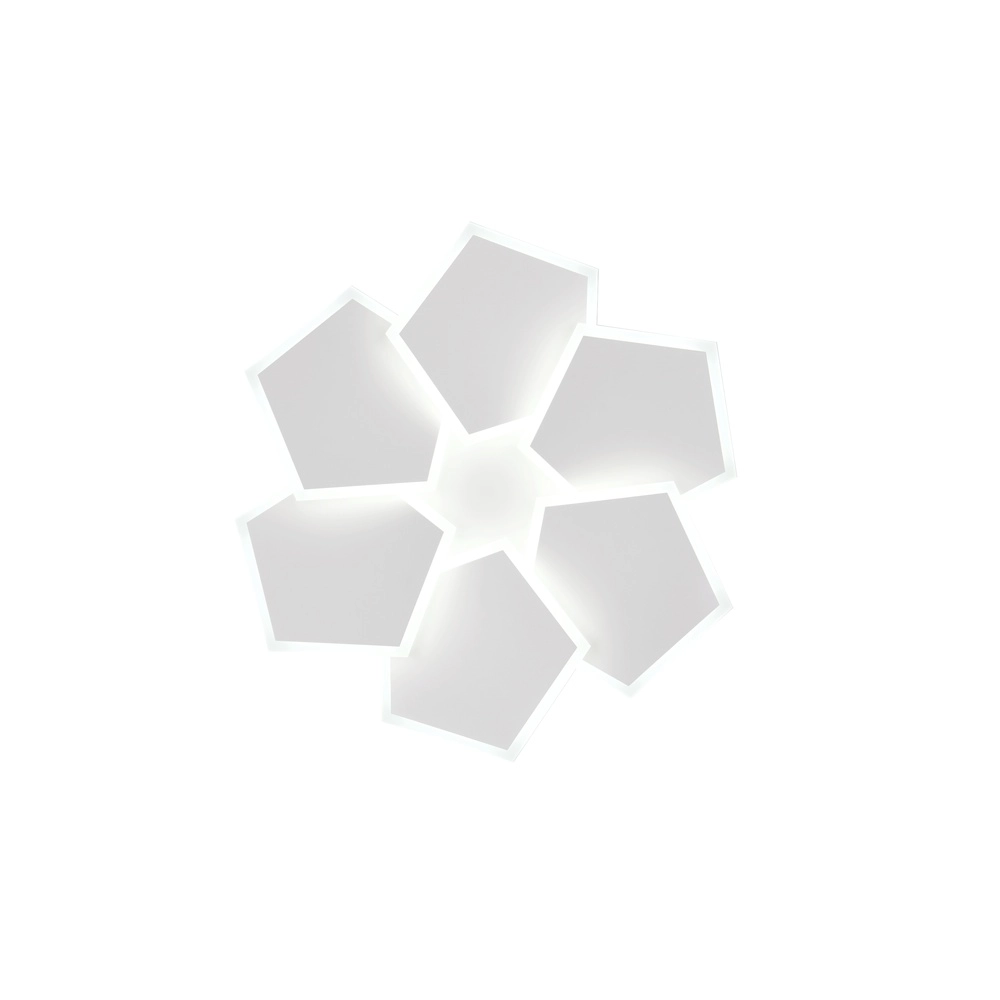 Einzigartige Deckenlampe Zaya S weiß Trio 4017807684988