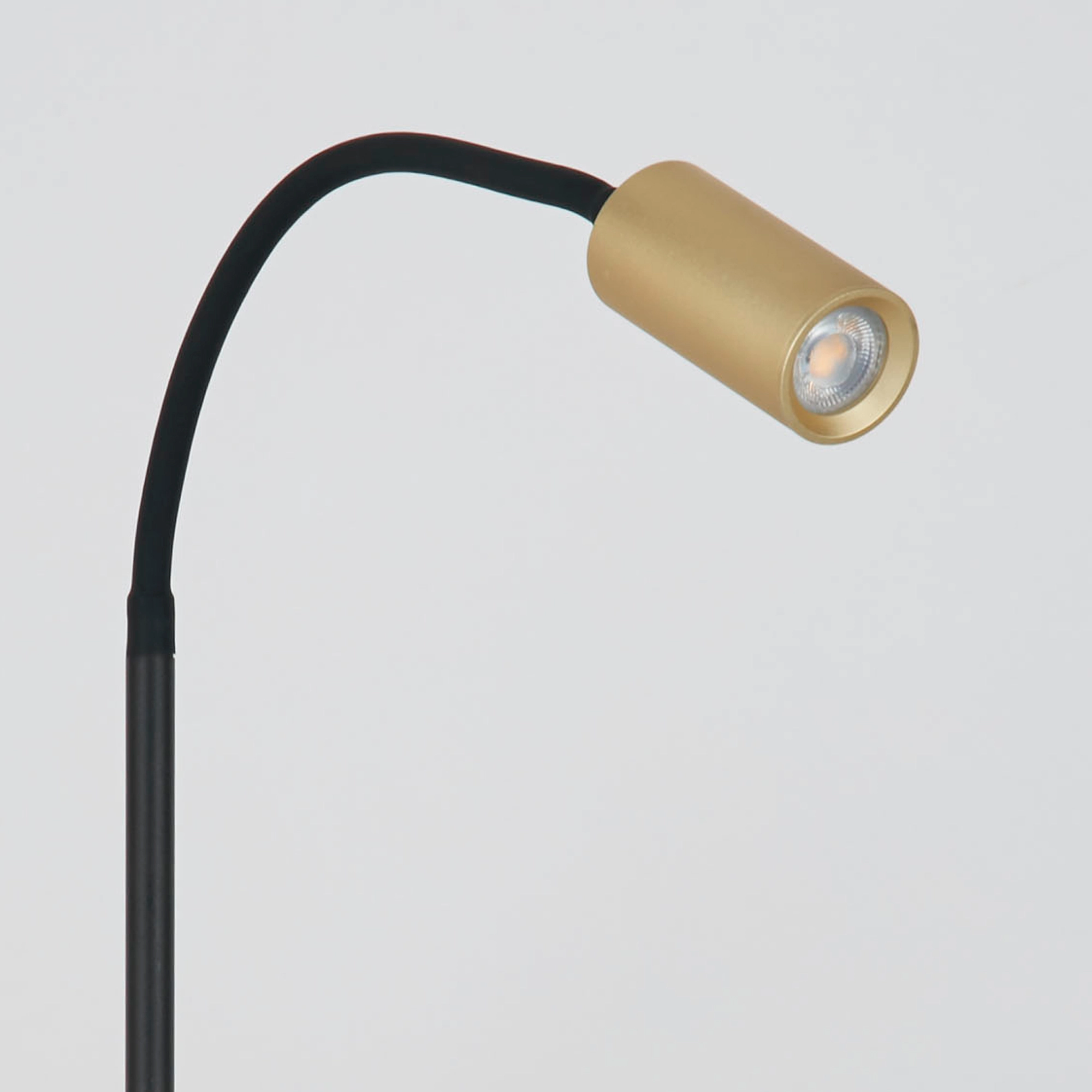 Tischlampe Ciara Gold Lyora 5053423316437