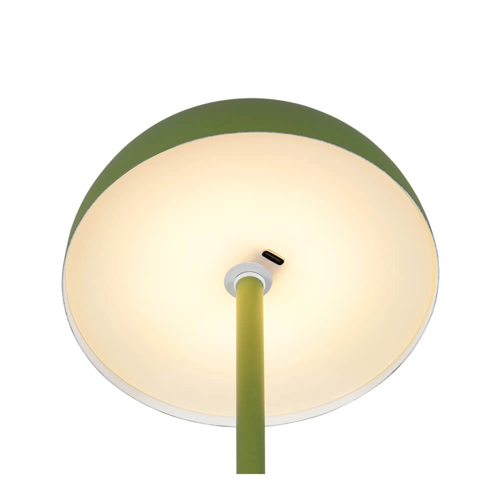Tischlampe Munoz grün Ø 13cm Trio 4017807640861