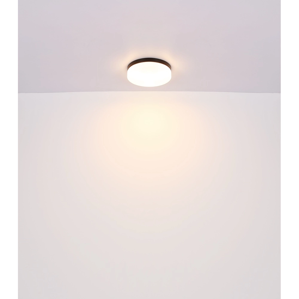 Design-Deckenlicht Vranos schwarz für den Außeneinsatz Ø 30 cm Globo 9007371440764