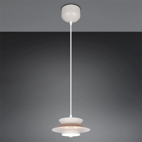 Pendellampendesign Amarila mokkabraun Ø 25 cm Trio 4017807682755