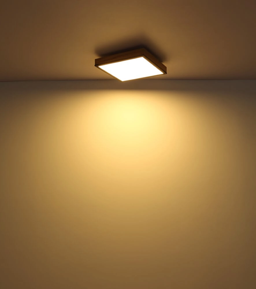 Dimmbare LED-Deckenleuchte Doro 45x45cm Globo 9007371422760